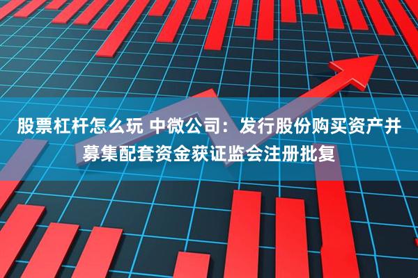 股票杠杆怎么玩 中微公司：发行股份购买资产并募集配套资金获证监会注册批复